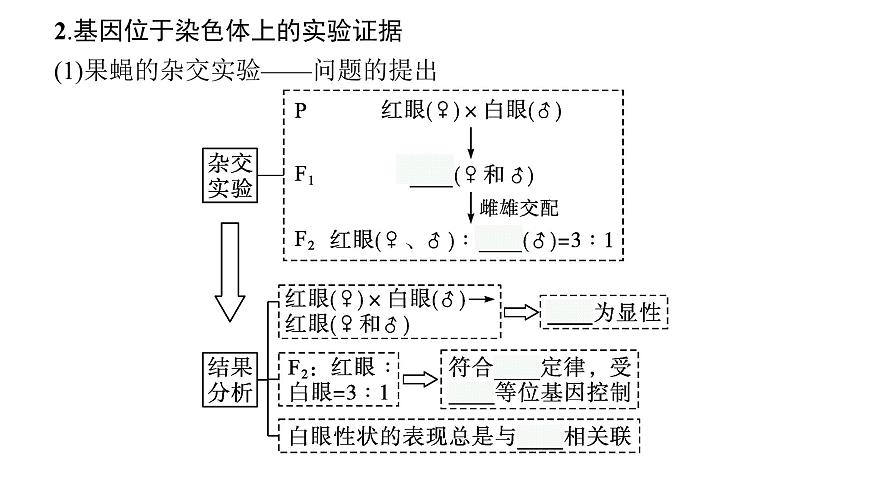 新教材高考生物一輪復(fù)習(xí)第5單元遺傳因子的發(fā)現(xiàn)和伴性遺傳第3講基因在染色體上、伴性遺傳、人類遺傳病課件第8頁(yè)