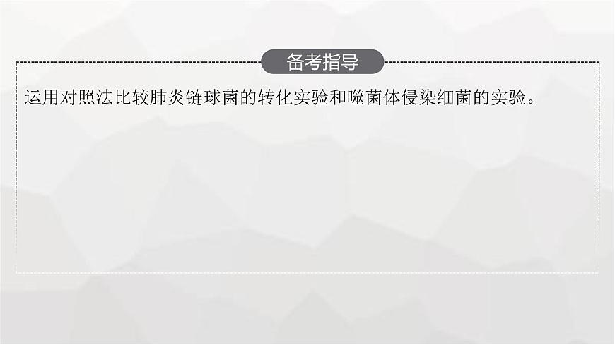 新教材高考生物一輪復(fù)習(xí)第6單元基因的本質(zhì)與表達(dá)第1講DNA是主要的遺傳物質(zhì)課件第3頁
