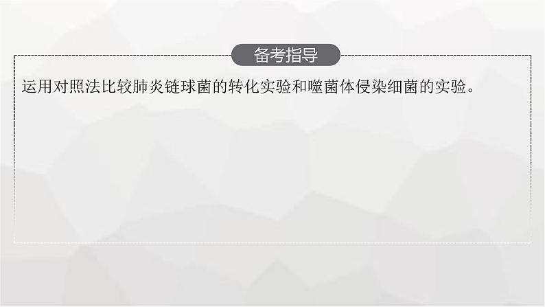 新教材高考生物一轮复习第6单元基因的本质与表达第1讲DNA是主要的遗传物质课件03