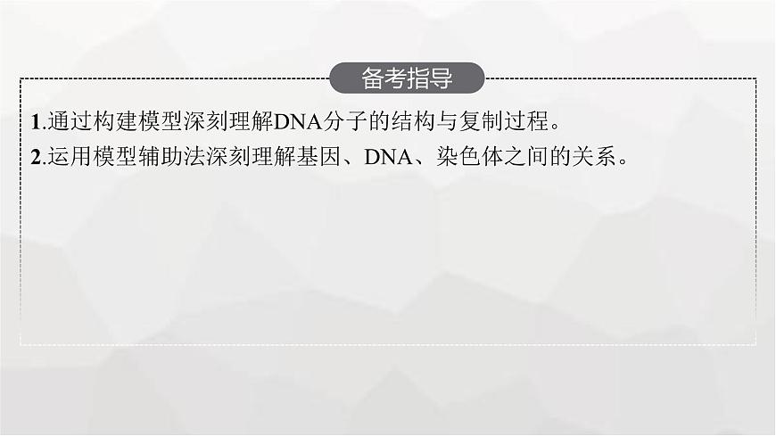 新教材高考生物一輪復(fù)習(xí)第6單元基因的本質(zhì)與表達(dá)第2講DNA的結(jié)構(gòu)、復(fù)制與基因的本質(zhì)課件第3頁(yè)
