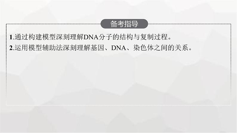 新教材高考生物一轮复习第6单元基因的本质与表达第2讲DNA的结构、复制与基因的本质课件第3页