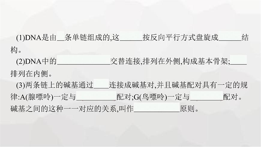 新教材高考生物一輪復(fù)習(xí)第6單元基因的本質(zhì)與表達(dá)第2講DNA的結(jié)構(gòu)、復(fù)制與基因的本質(zhì)課件第8頁(yè)