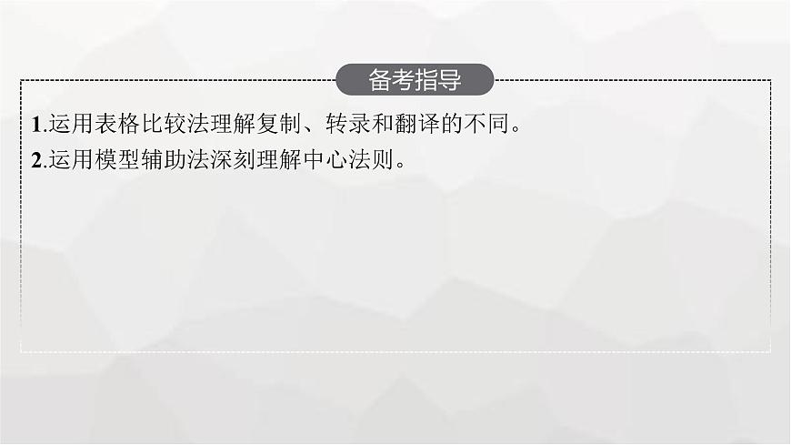 新教材高考生物一輪復(fù)習(xí)第6單元基因的本質(zhì)與表達(dá)第3講基因的表達(dá)課件第3頁