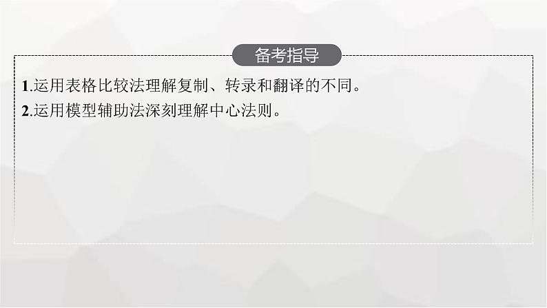 新教材高考生物一轮复习第6单元基因的本质与表达第3讲基因的表达课件第3页
