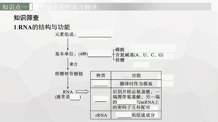 新教材高考生物一輪復(fù)習(xí)第6單元基因的本質(zhì)與表達(dá)第3講基因的表達(dá)課件第6頁