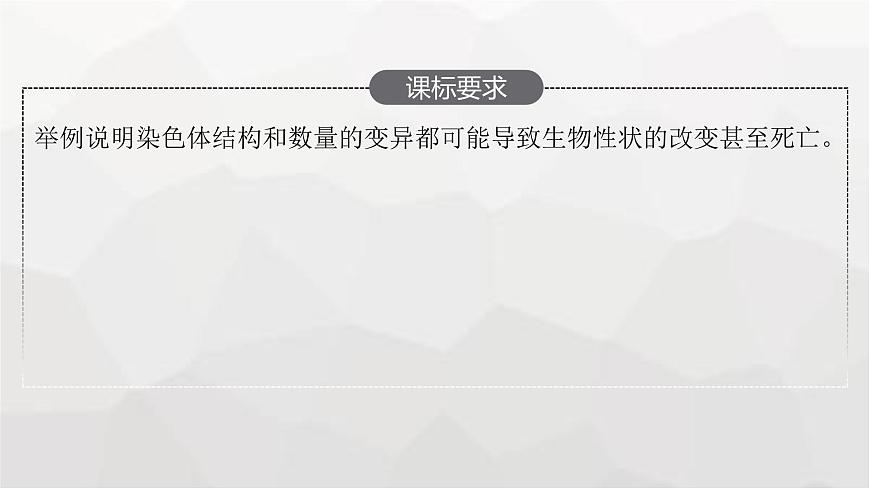 新教材高考生物一輪復習第7單元生物的變異和進化第2講染色體變異課件第2頁