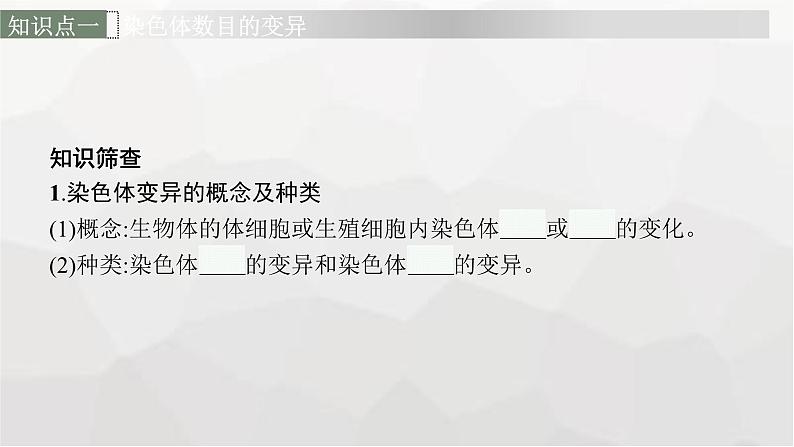 新教材高考生物一轮复习第7单元生物的变异和进化第2讲染色体变异课件06