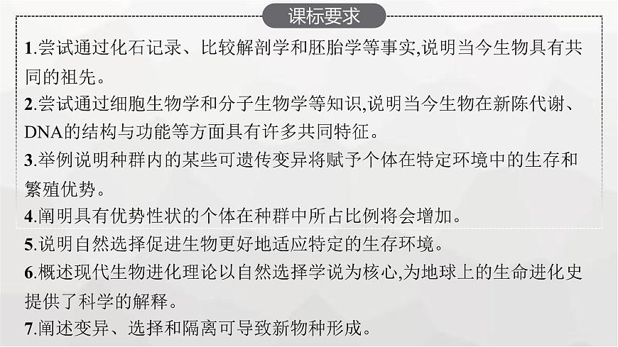 新教材高考生物一輪復(fù)習(xí)第7單元生物的變異和進(jìn)化第3講生物的進(jìn)化課件第2頁
