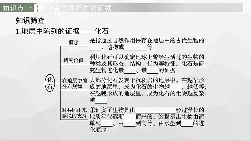 新教材高考生物一輪復(fù)習(xí)第7單元生物的變異和進(jìn)化第3講生物的進(jìn)化課件第6頁
