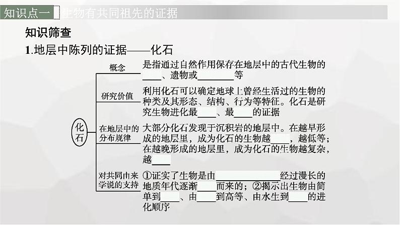 新教材高考生物一轮复习第7单元生物的变异和进化第3讲生物的进化课件第6页