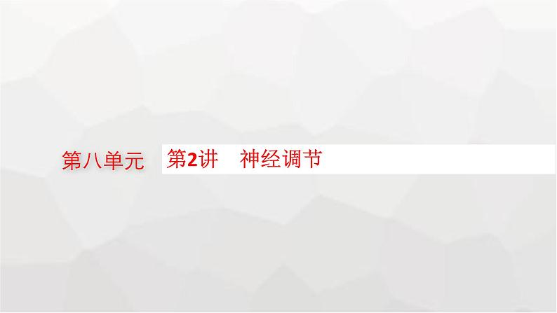 新教材高考生物一轮复习第8单元生命活动的调节第2讲神经调节课件第1页