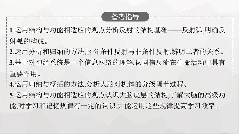 新教材高考生物一轮复习第8单元生命活动的调节第2讲神经调节课件第3页