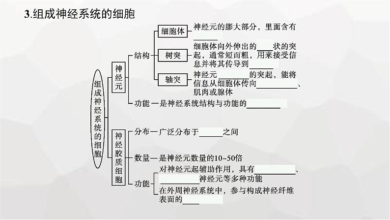 新教材高考生物一轮复习第8单元生命活动的调节第2讲神经调节课件第8页