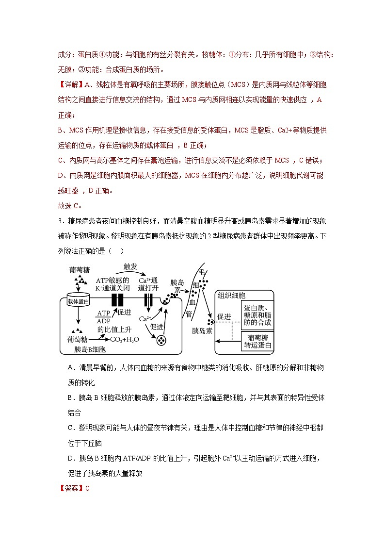 模擬卷07（解析版）-【贏在高考·臨考模擬】備戰(zhàn)2024年高考生物模擬卷（江蘇專用）第3頁(yè)