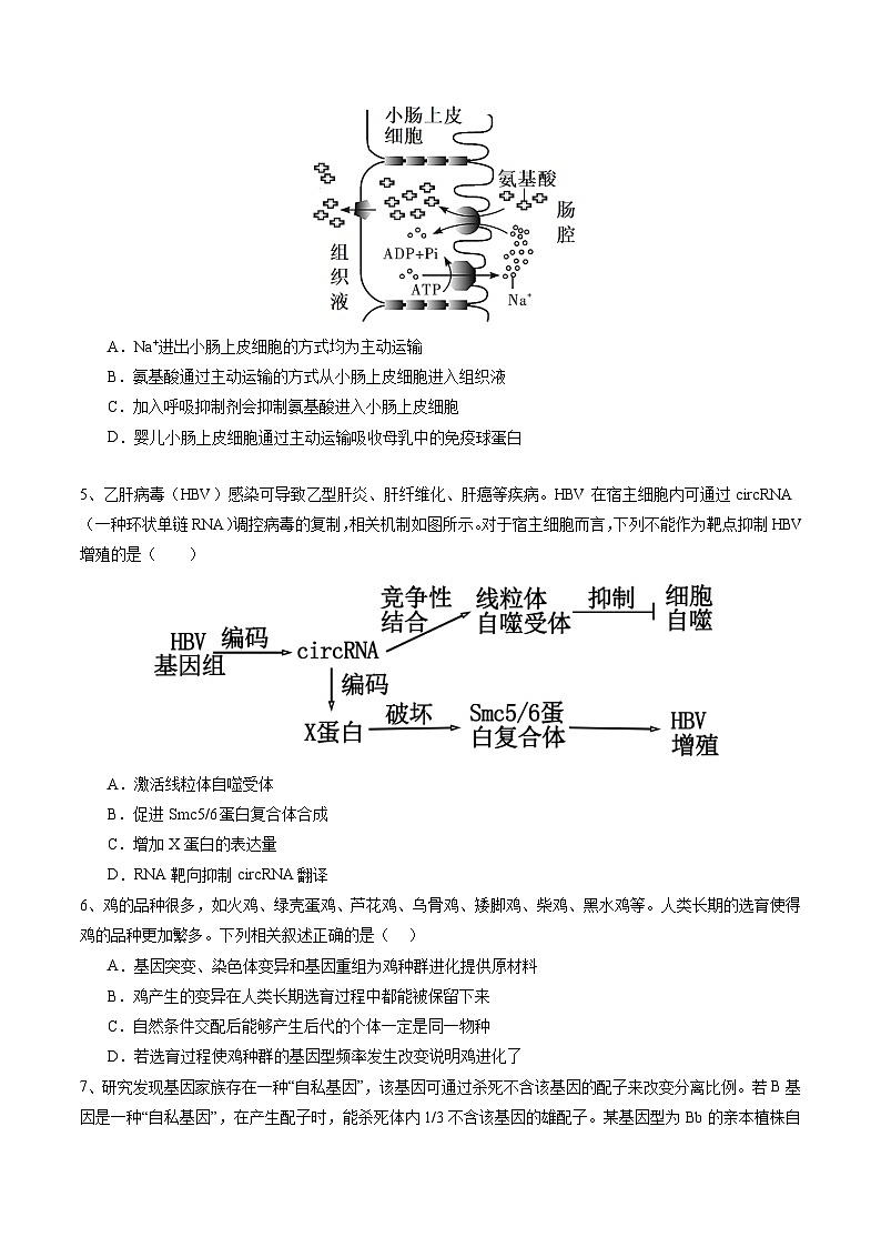 卷01-備戰(zhàn)2024年高考生物仿真演練模擬預(yù)測卷(湖北卷)(原卷版)第2頁