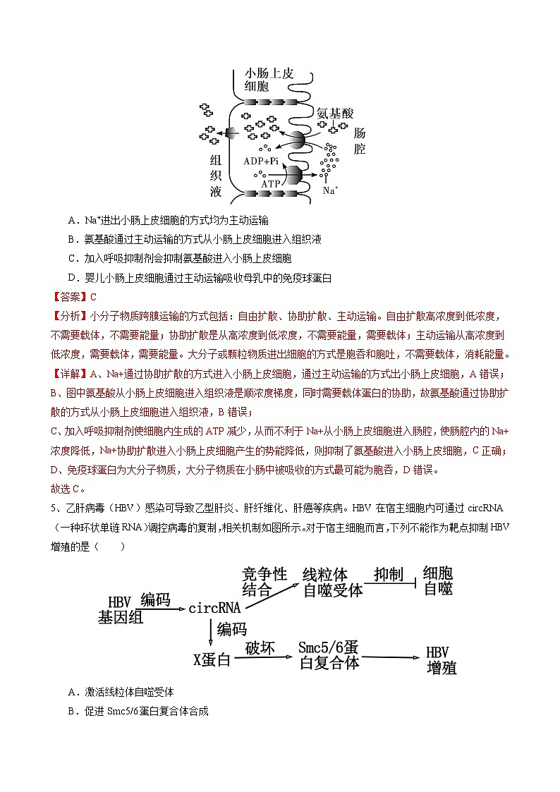 卷01-備戰(zhàn)2024年高考生物仿真演練模擬預(yù)測卷(湖北卷)(解析版)第3頁