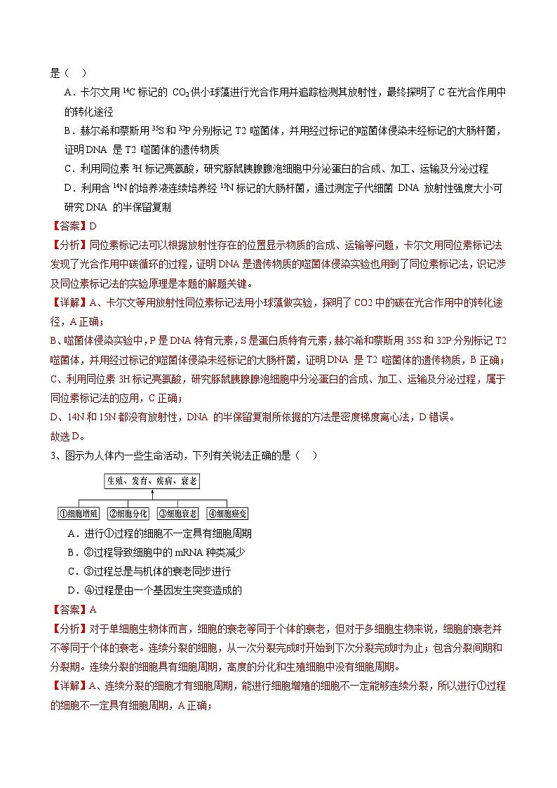 卷03-備戰(zhàn)2024年高考生物仿真演練模擬預(yù)測卷（湖北卷）（解析版）第2頁