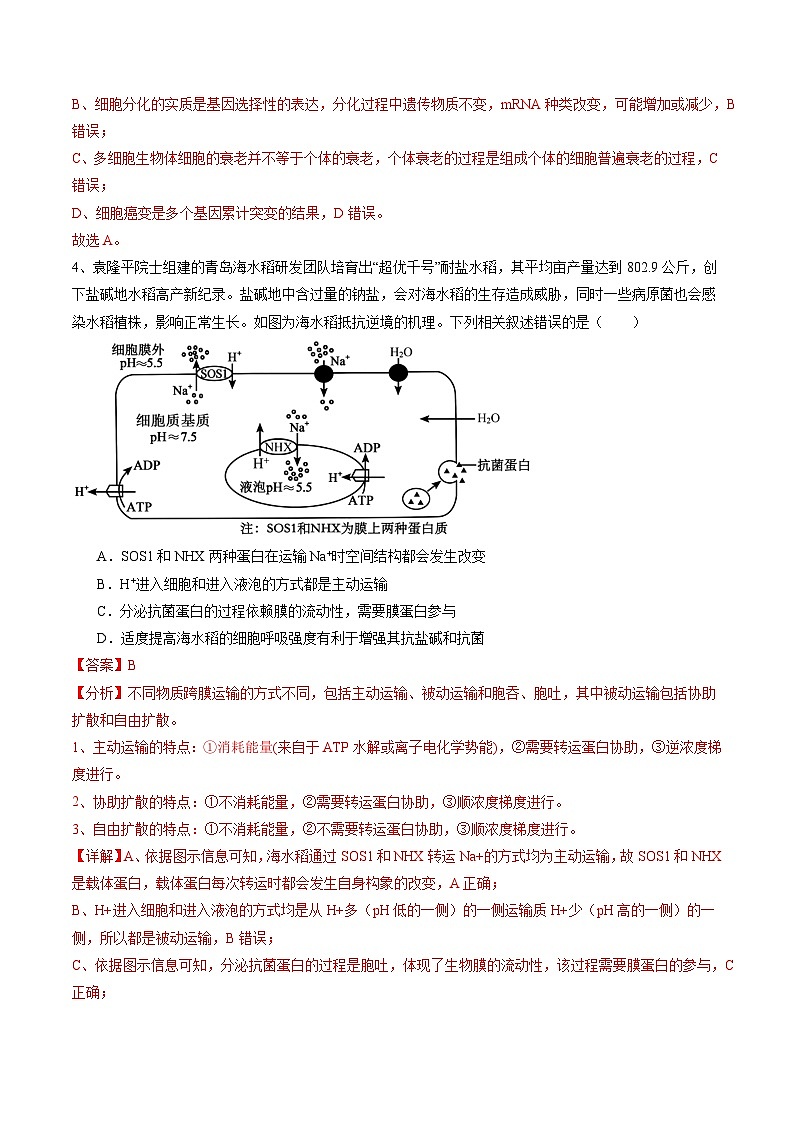 卷03-備戰(zhàn)2024年高考生物仿真演練模擬預(yù)測卷（湖北卷）（解析版）第3頁