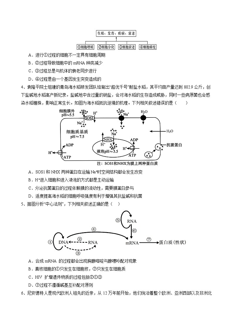 卷03-備戰(zhàn)2024年高考生物仿真演練模擬預(yù)測卷（湖北卷）（原卷版）第2頁