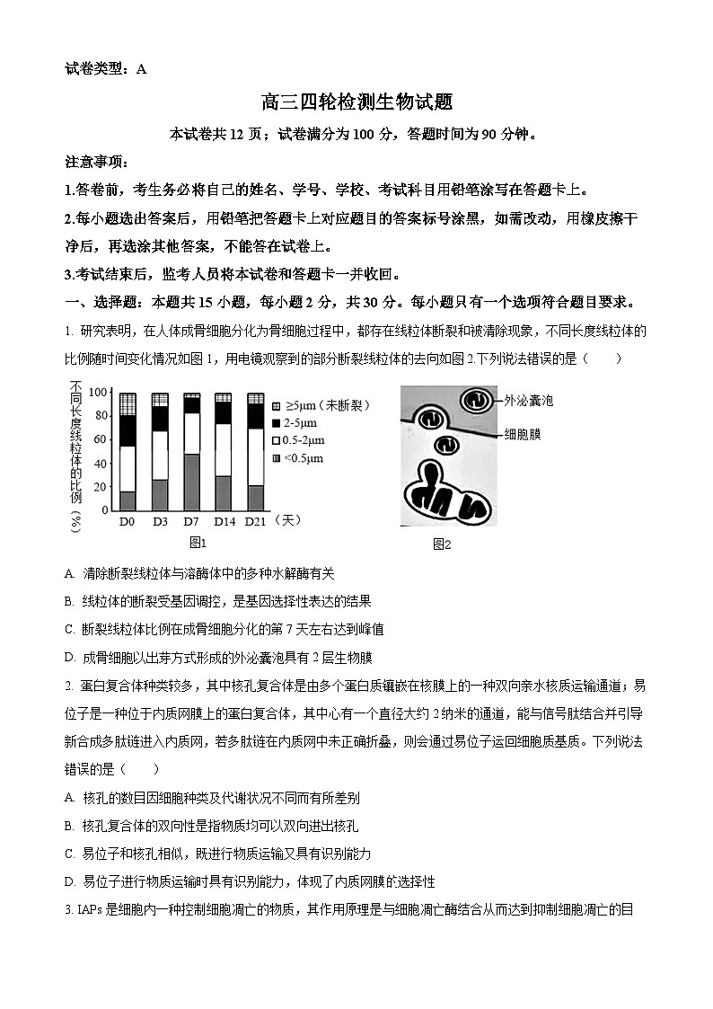 2024届山东省泰安市高三四模考试生物试题(学生版)第1页