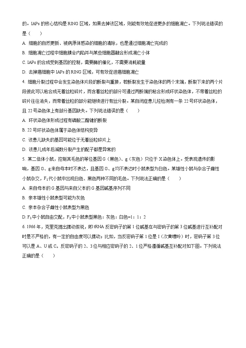 2024届山东省泰安市高三四模考试生物试题(学生版)第2页