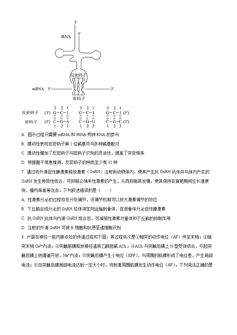 2024届山东省泰安市高三四模考试生物试题(学生版)第3页