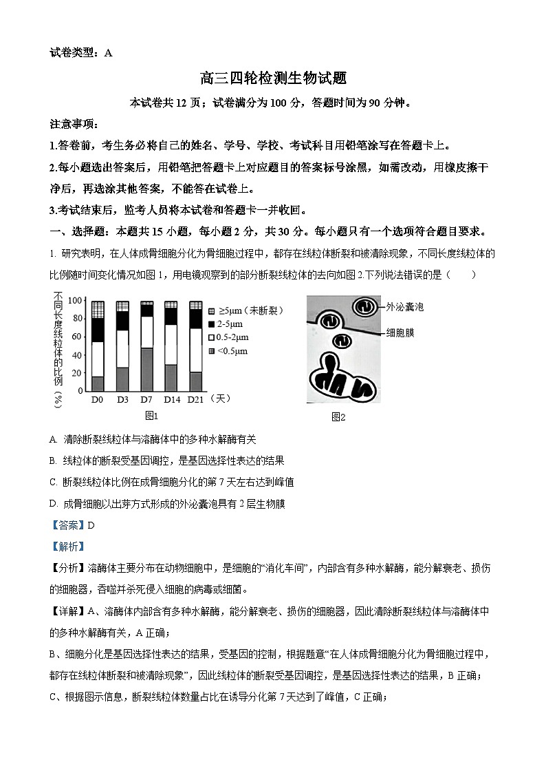 2024届山东省泰安市高三四模考试生物试题(教师版)第1页