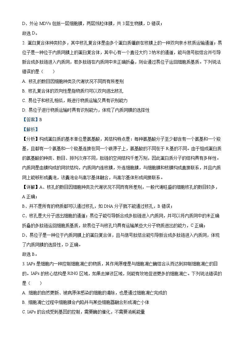 2024届山东省泰安市高三四模考试生物试题(教师版)第2页