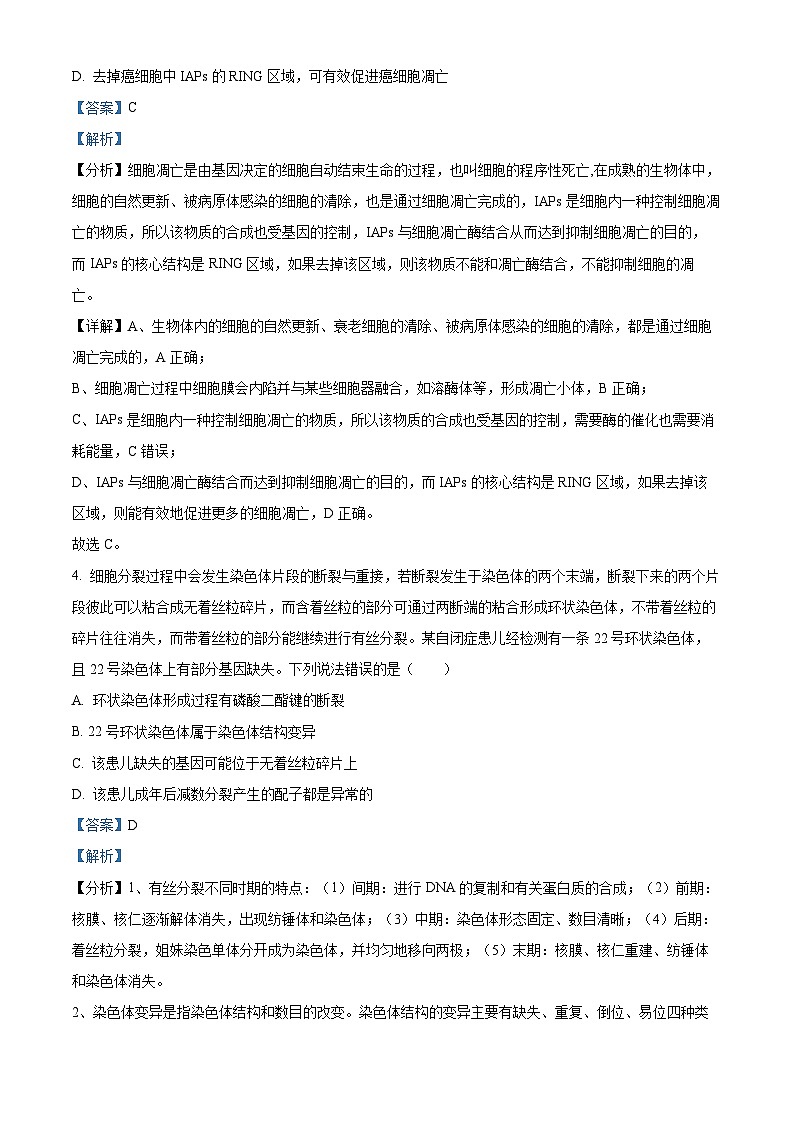 2024届山东省泰安市高三四模考试生物试题(教师版)第3页