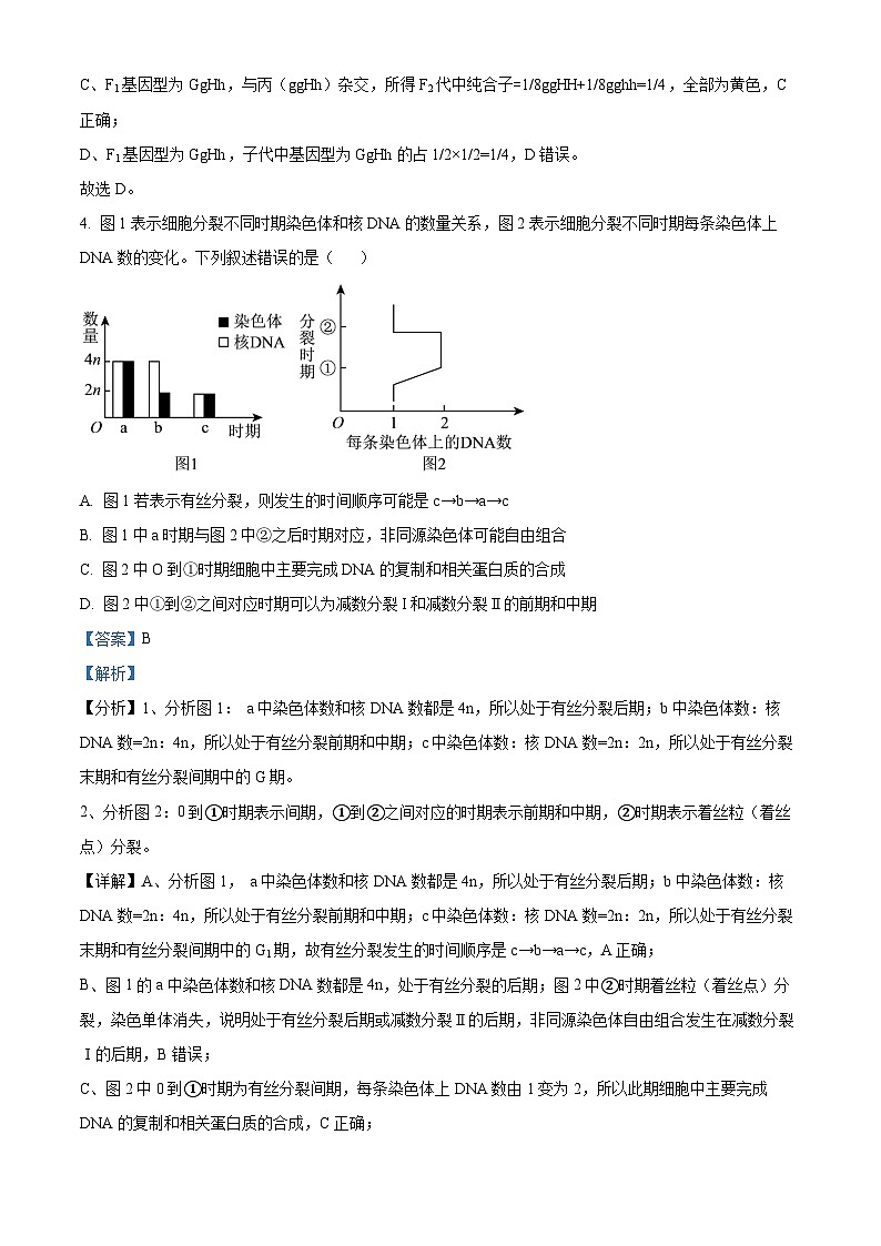 广东省东莞市东华高级中学,东华松山湖高级中学联考2023-2024学年高一下学期5月期中生物试题(教师版)第3页