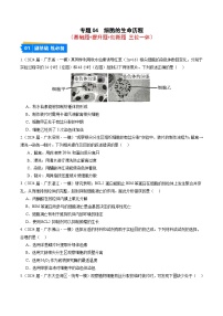 專題04 細胞的生命歷程-【分項匯編】2024年高考生物一模試題分類匯編（廣東專用）