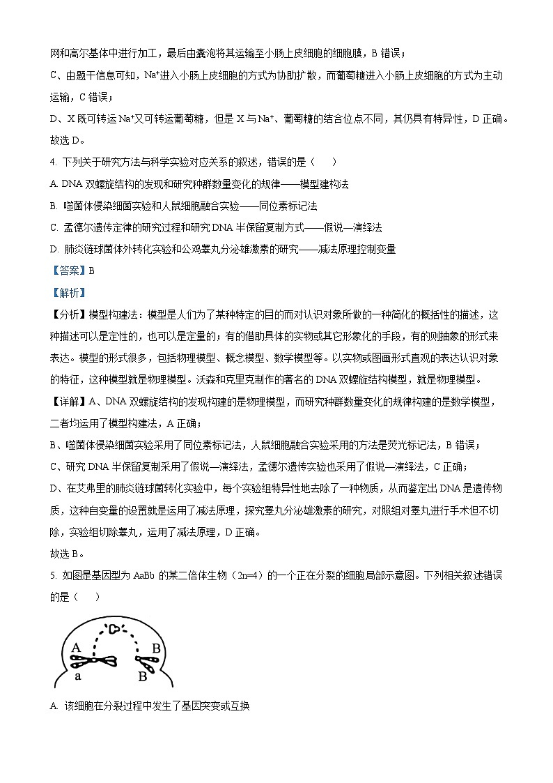 2024届甘肃省白银市靖远县第二中学高三下学期模拟预测生物试题(教师版)第3页