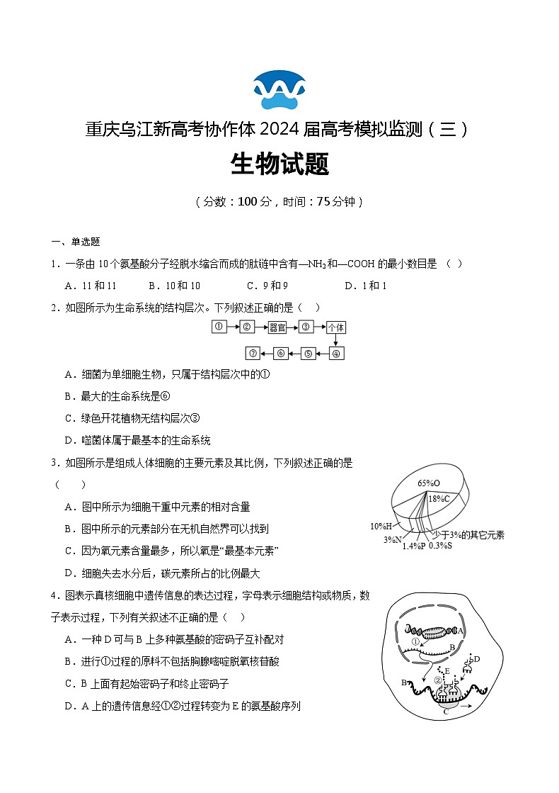 重庆市乌江新高考协作体2024届高三下学期第三次模拟预测试题生物含答案01