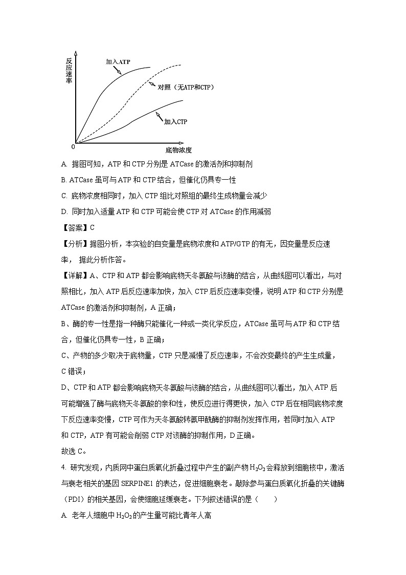 山东省潍坊市2023—2024学年四县联考高三下学期三模考试生物试卷(解析版)03