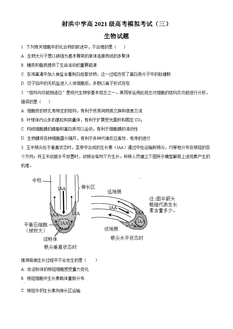 四川省遂宁市射洪市射洪中学2024届高三模拟考试(三)生物试题(学生版)第1页