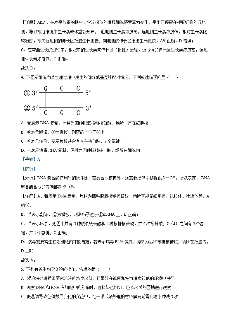 四川省遂宁市射洪市射洪中学2024届高三模拟考试(三)生物试题(教师版)第3页