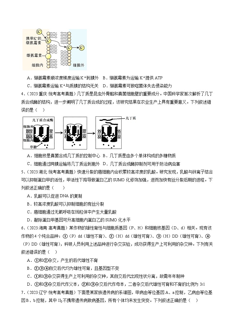 冲刺2024年高考生物-真题重组卷02(贵州、安徽、甘肃专用)(原卷版+解析版)02