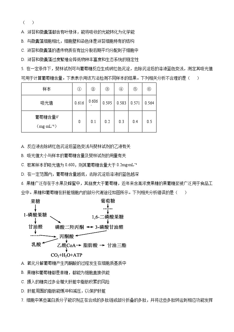 山东省联考2023-2024学年高二下学期5月月考生物试题(学生版)第2页