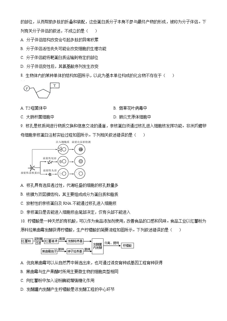 山东省联考2023-2024学年高二下学期5月月考生物试题(学生版)第3页