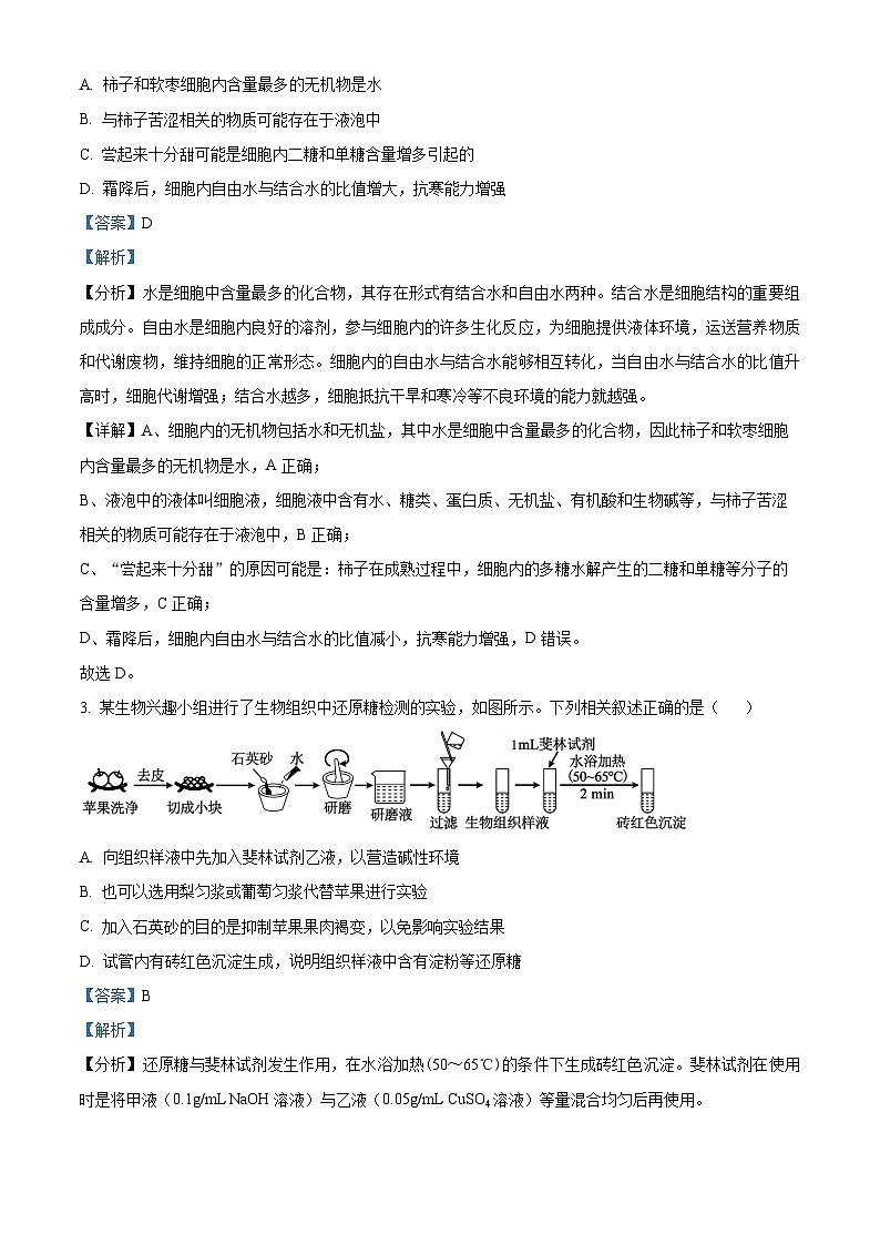山东省联考2023-2024学年高二下学期5月月考生物试题(教师版 )第2页