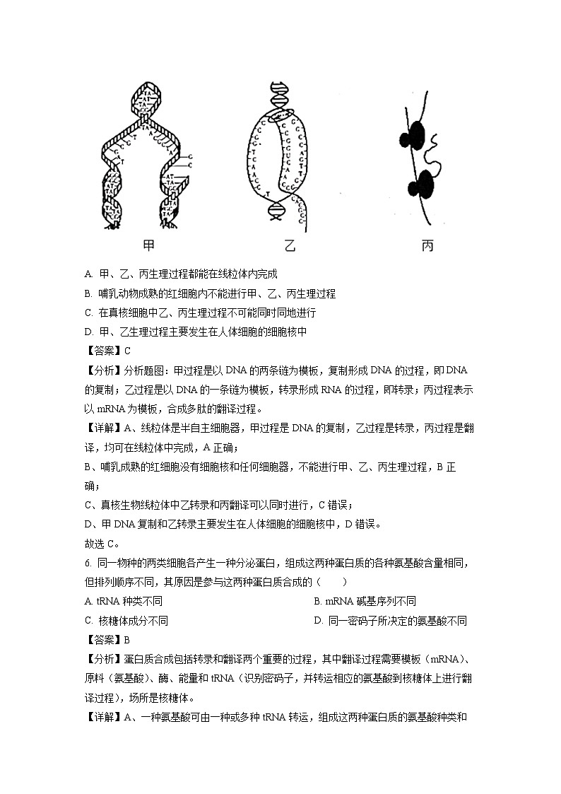 海南省琼海市嘉积中学2023-2024学年高一下学期四月月考B卷生物试卷(解析版)第3页
