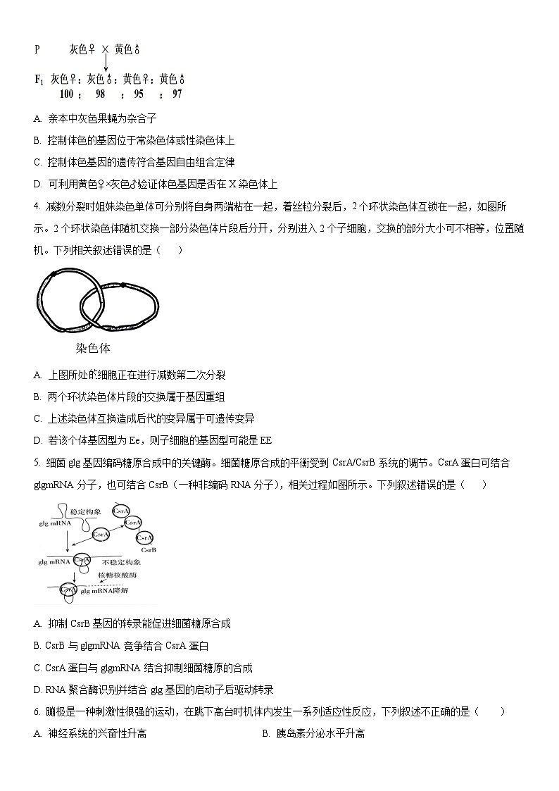 2024年北京市延庆区高三下学期高考一模生物试卷含详解02