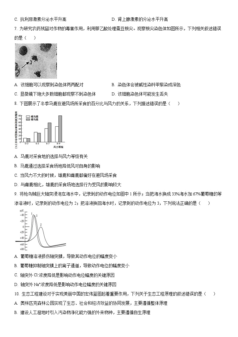 2024年北京市延庆区高三下学期高考一模生物试卷含详解03