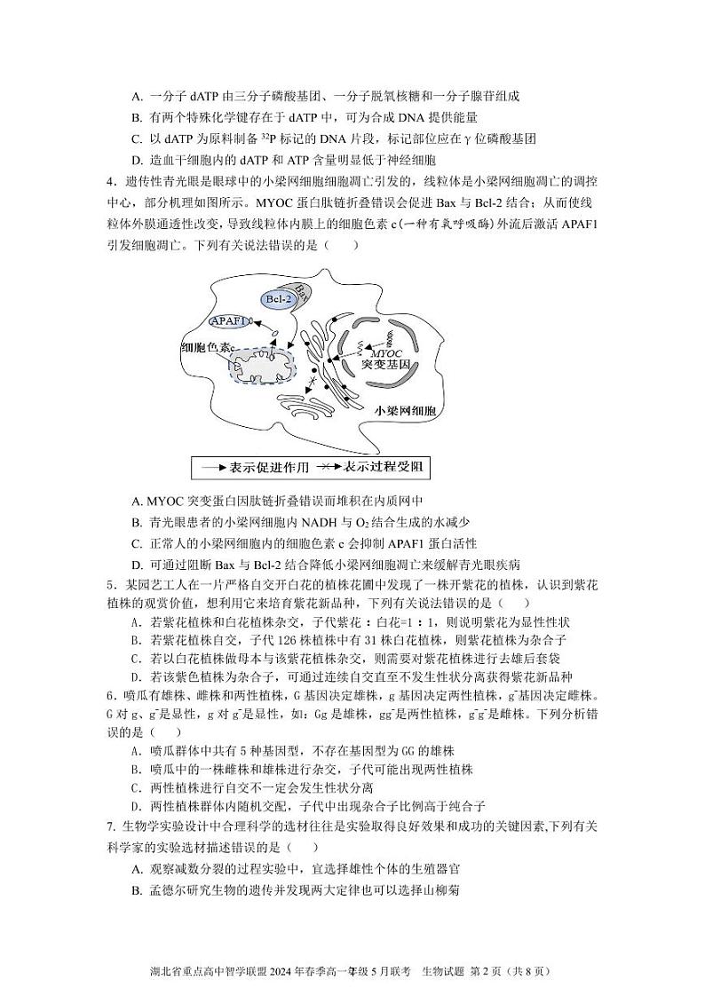 湖北省重点高中智学联盟2023-2024年学年高一5月联考生物试题第2页