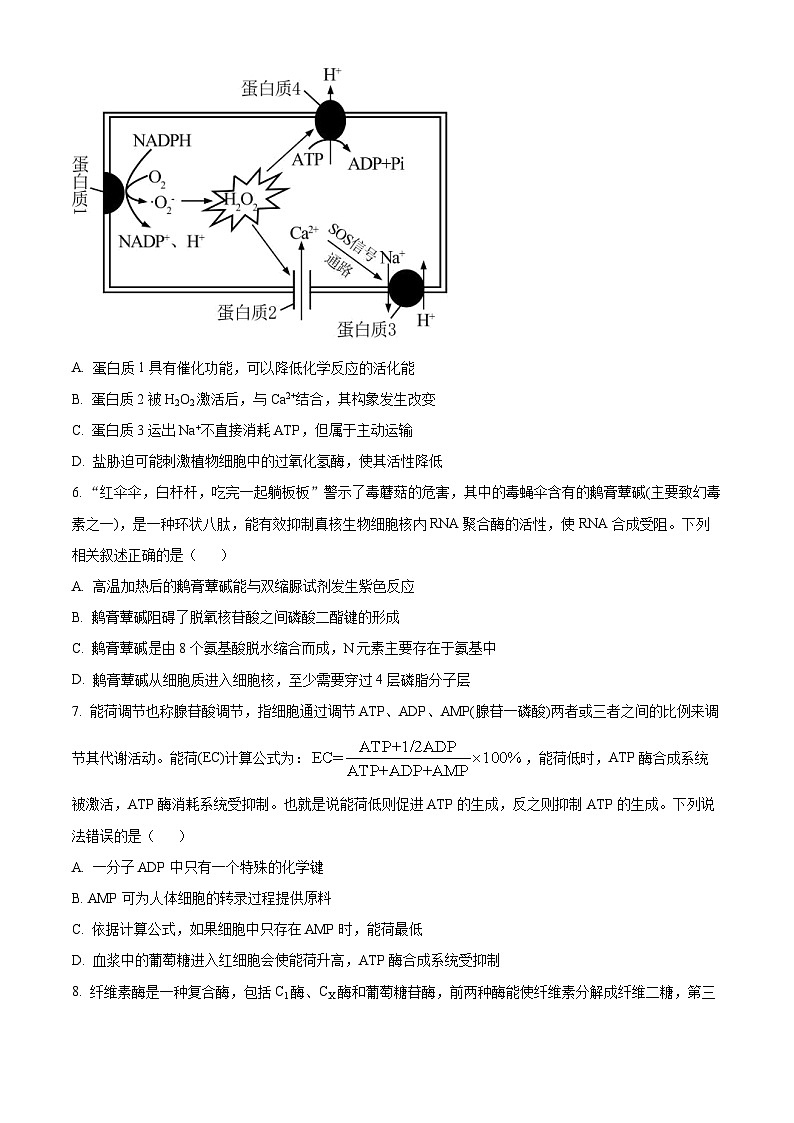 山东省东营市利津县高级中学2023-2024学年高二下学期5月月考生物试题(学生版)第2页