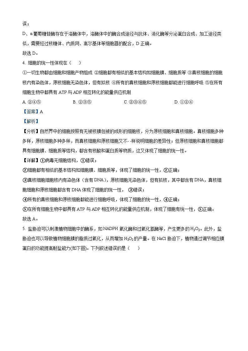 山东省东营市利津县高级中学2023-2024学年高二下学期5月月考生物试题(教师版)第3页