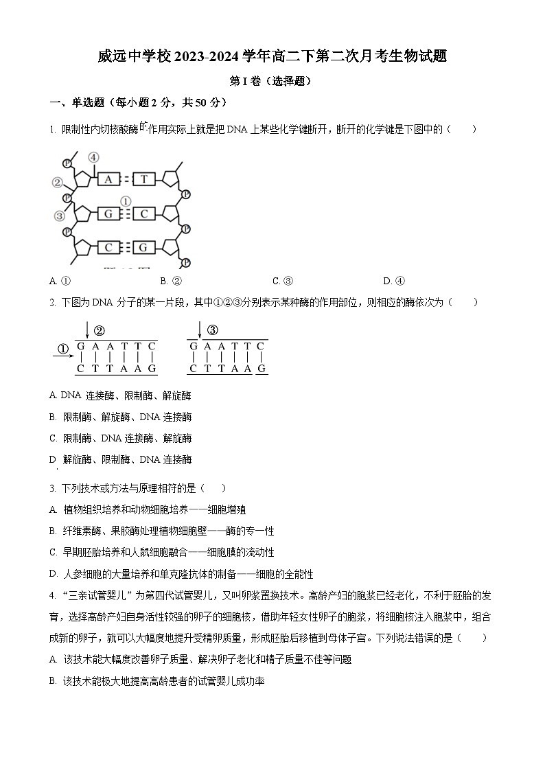 四川省内江市威远中学校2023-2024学年高二下学期第二次月考生物试题(学生版)第1页