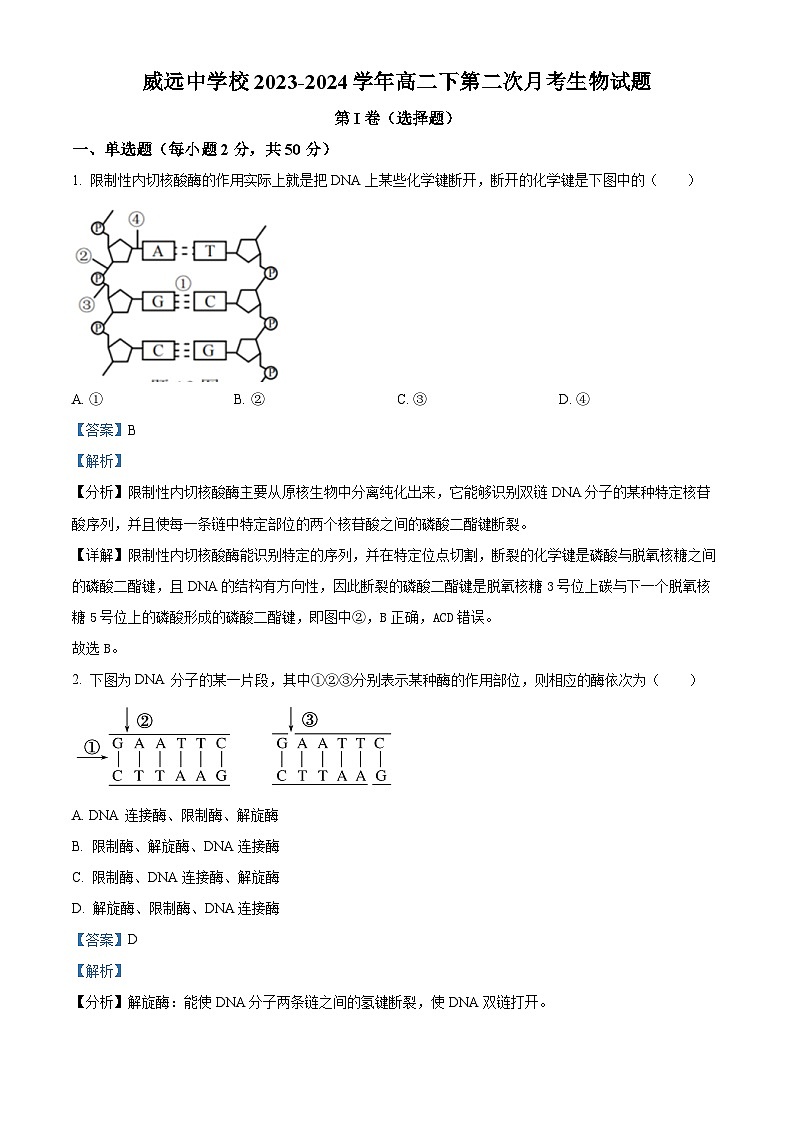 四川省内江市威远中学校2023-2024学年高二下学期第二次月考生物试题(教师版)第1页