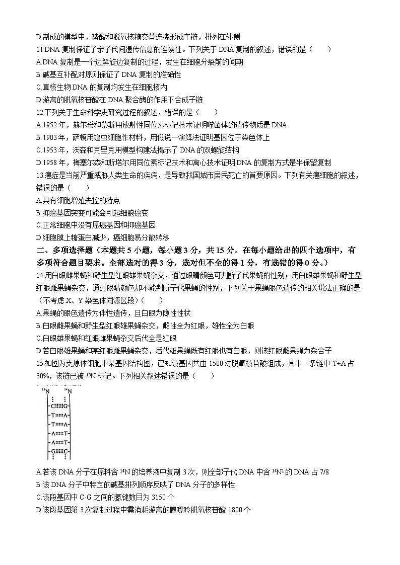 河南省南阳市2023-2024学年高一下学期第二次月考生物试卷第3页