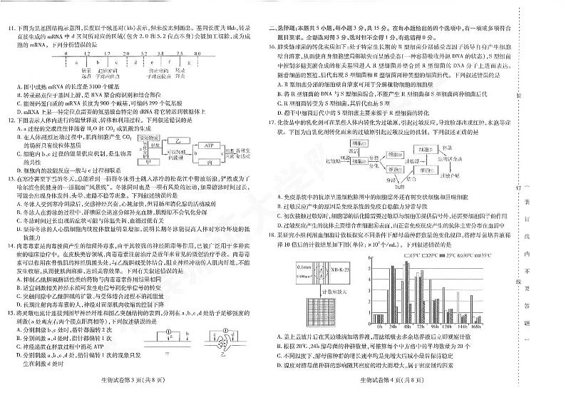 2024年东北三省三校高三四模联考生物试卷和答案02